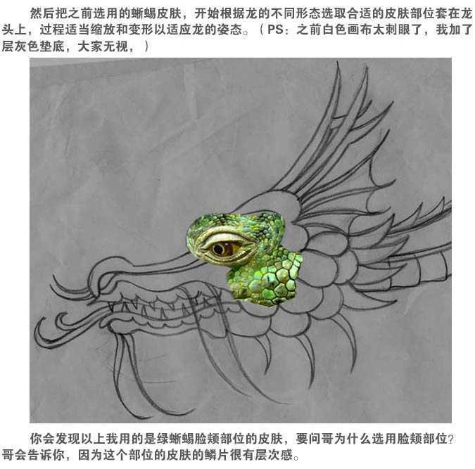 ‘photoshop用蜥蜴或鳄鱼合成制作一条逼真的绿龙‘