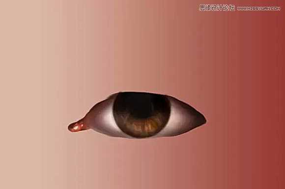 ‘使用Photoshop鼠绘功能制作超逼真的人像眼睛效果教程‘