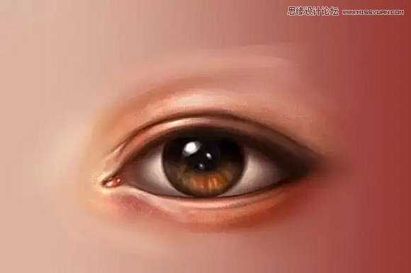 ‘使用Photoshop鼠绘功能制作超逼真的人像眼睛效果教程‘