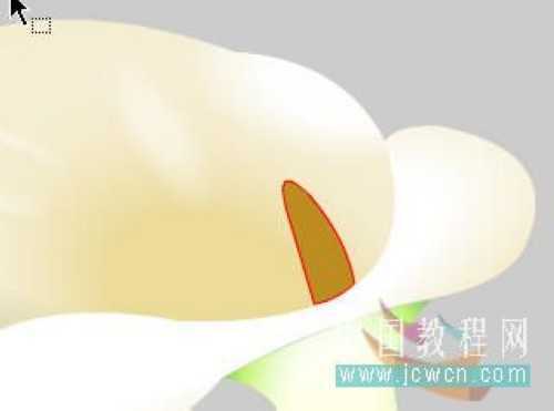 马蹄莲制作过程