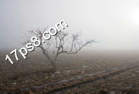 ‘photoshop合成制作出荒野枯树的恐怖场景‘
