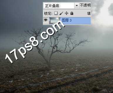 ‘photoshop合成制作出荒野枯树的恐怖场景‘