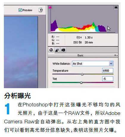 ‘PS调整油菜花图片的光线与色彩‘