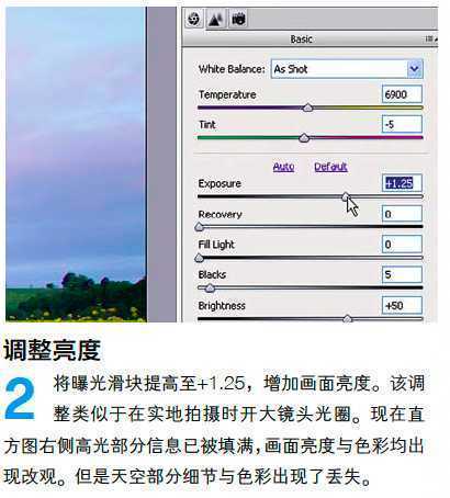 ‘PS调整油菜花图片的光线与色彩‘