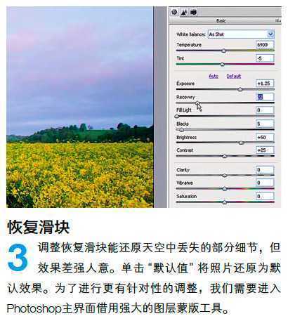 ‘PS调整油菜花图片的光线与色彩‘