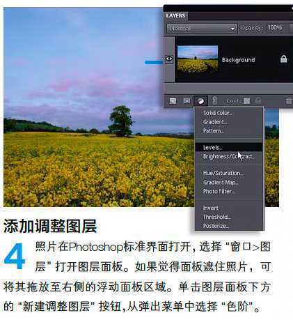 ‘PS调整油菜花图片的光线与色彩‘
