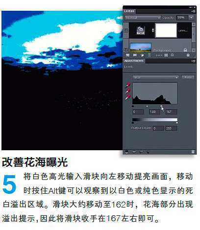‘PS调整油菜花图片的光线与色彩‘