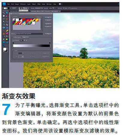‘PS调整油菜花图片的光线与色彩‘