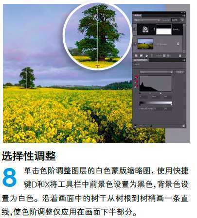 ‘PS调整油菜花图片的光线与色彩‘