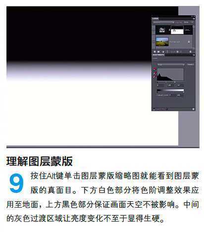 ‘PS调整油菜花图片的光线与色彩‘