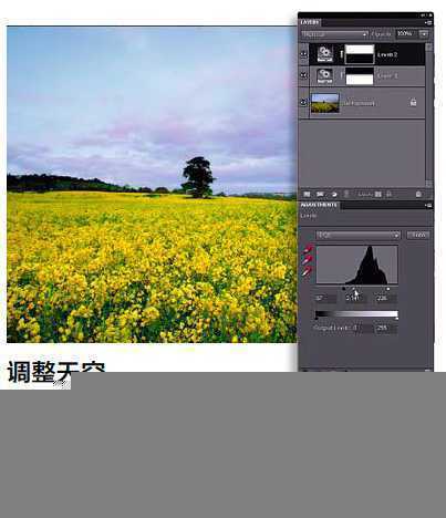 ‘PS调整油菜花图片的光线与色彩‘