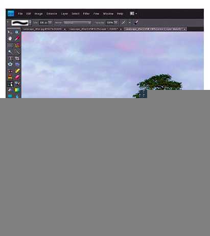 ‘PS调整油菜花图片的光线与色彩‘