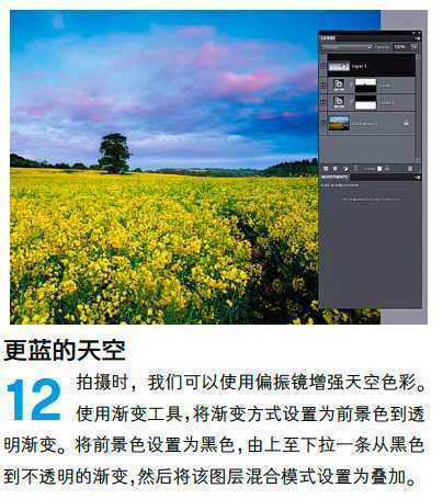 ‘PS调整油菜花图片的光线与色彩‘