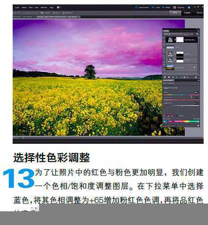 ‘PS调整油菜花图片的光线与色彩‘