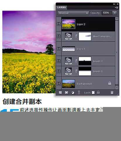 ‘PS调整油菜花图片的光线与色彩‘