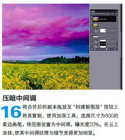 ‘PS调整油菜花图片的光线与色彩‘