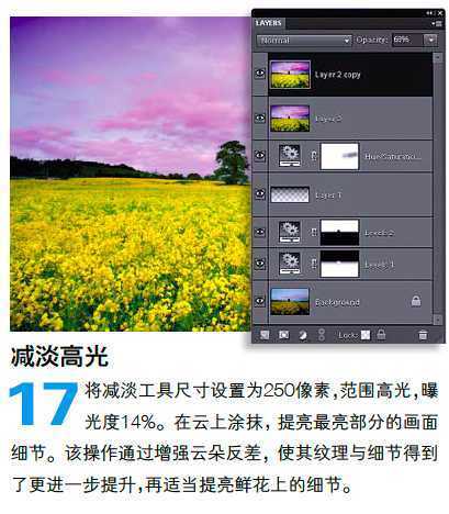 ‘PS调整油菜花图片的光线与色彩‘