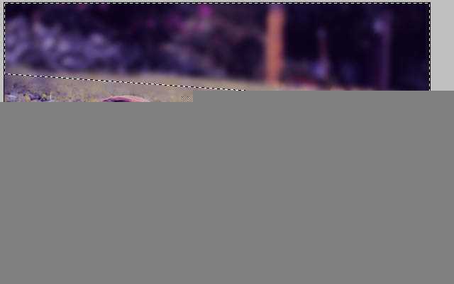 ‘Photoshop将草地人物图片调制出柔美的梦幻暗调蓝黄色‘
