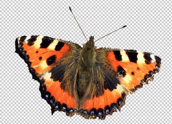 ‘PhotoShop(PS)基础知识：蒙版的使用技巧实例教程‘