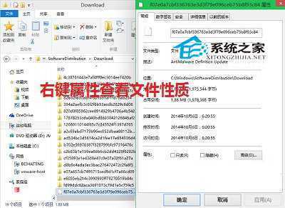  如何清理Win10应用商店下载的文件