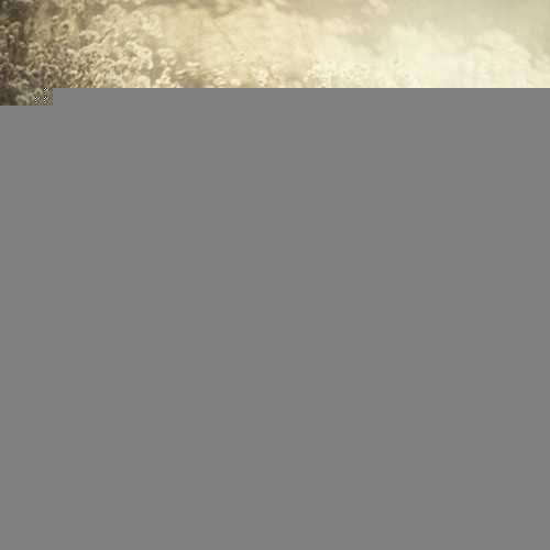 人像摄影调节光线的10个法则