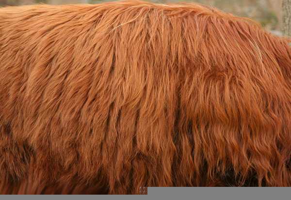 ‘Photoshop鼠绘一只独眼毛怪教程‘