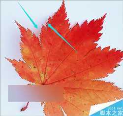 ps怎么抠出带阴影图片中的形状并去掉阴影？