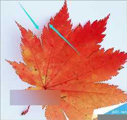 ps怎么抠出带阴影图片中的形状并去掉阴影？