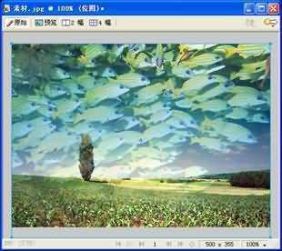 Fireworks CS3 蒙版基础教程(2)