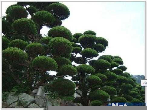 ‘PhotoShop设计打造出奇特童话般的精灵小木屋教程‘