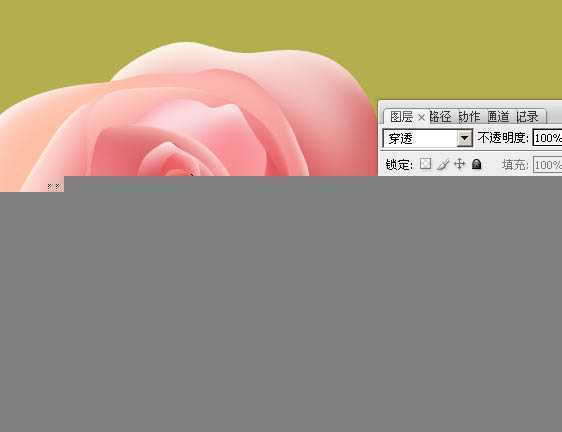 ‘Photoshop设计制作一朵的粉嫩的玫瑰花‘