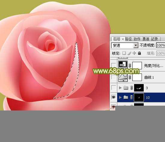 ‘Photoshop设计制作一朵的粉嫩的玫瑰花‘