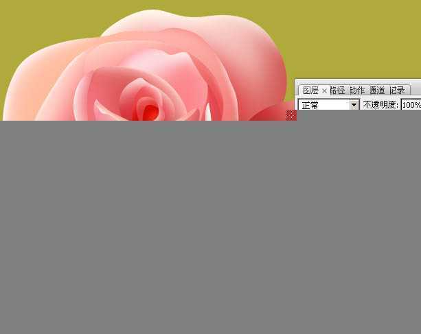 ‘Photoshop设计制作一朵的粉嫩的玫瑰花‘