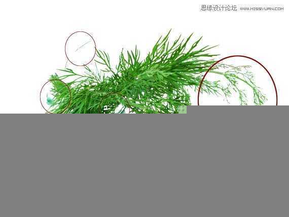‘使用Photoshop合成藤蔓装饰的少女场景图教程‘