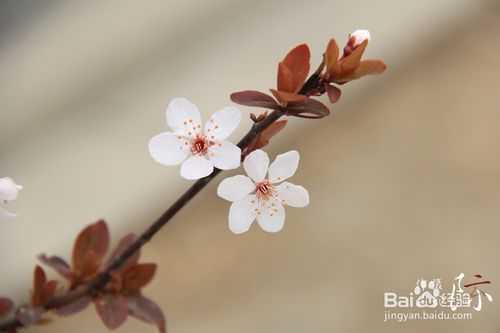 单反相机拍照入门知识和技巧