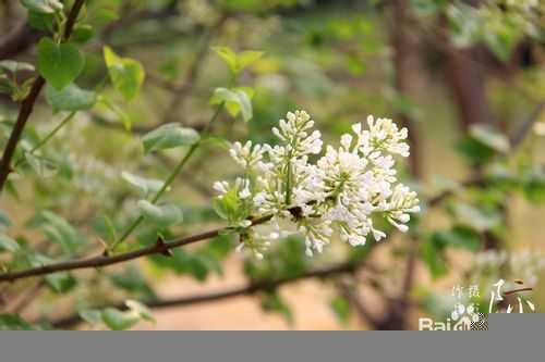 单反相机拍照入门知识和技巧
