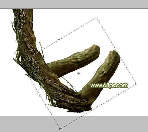 ‘Photoshop制作创意的古树藤连写字‘