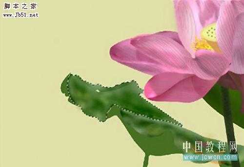 ‘PS鼠绘水彩风格荷花图‘