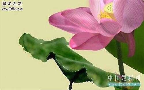 ‘PS鼠绘水彩风格荷花图‘