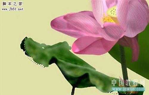 ‘PS鼠绘水彩风格荷花图‘