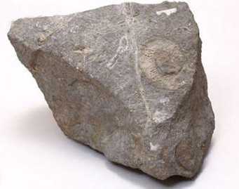 ‘PS合成雨夜中科幻的超级战士‘