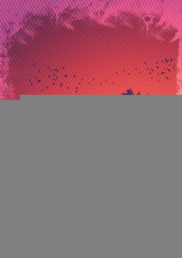 ‘PS利用形状及画笔制作漂亮的剪影海报‘