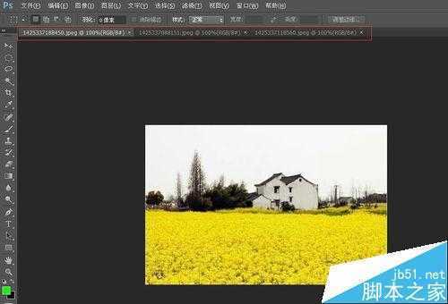 ‘photoshop入门:图片的显示方式‘