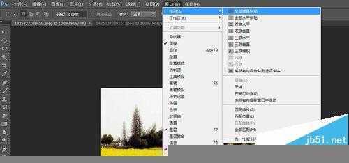 ‘photoshop入门:图片的显示方式‘