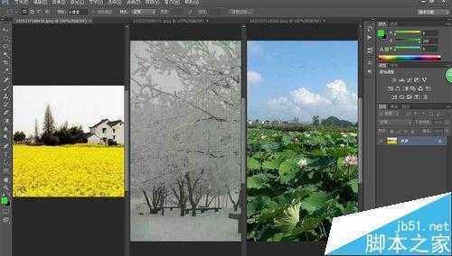 ‘photoshop入门:图片的显示方式‘