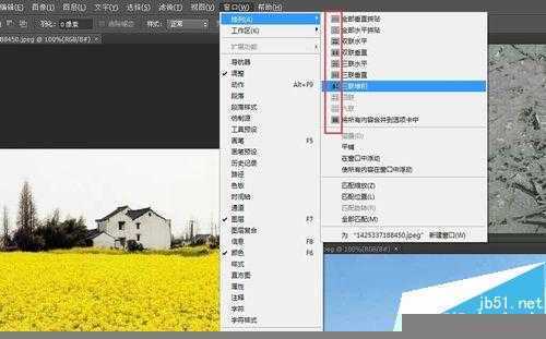 ‘photoshop入门:图片的显示方式‘