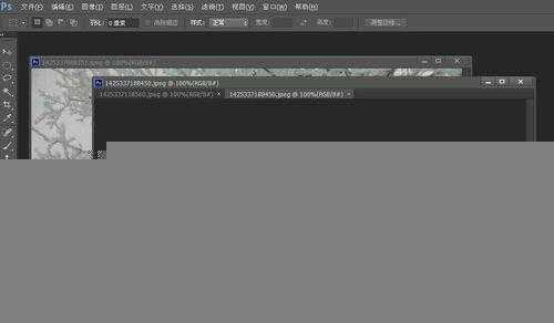 ‘photoshop入门:图片的显示方式‘
