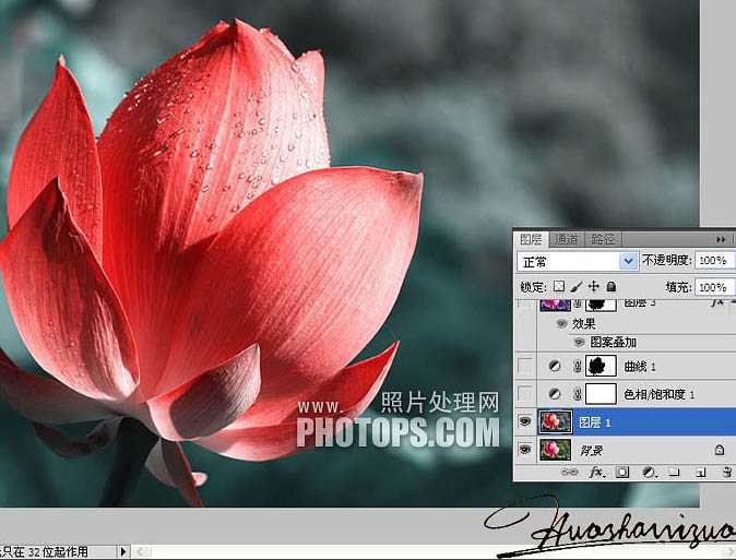 ‘Photoshop将荷花特写图片打造出高清的暗紫色效果‘