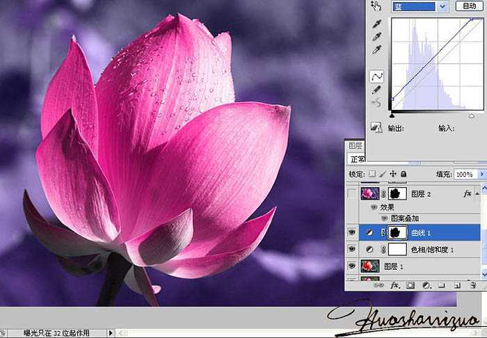‘Photoshop将荷花特写图片打造出高清的暗紫色效果‘