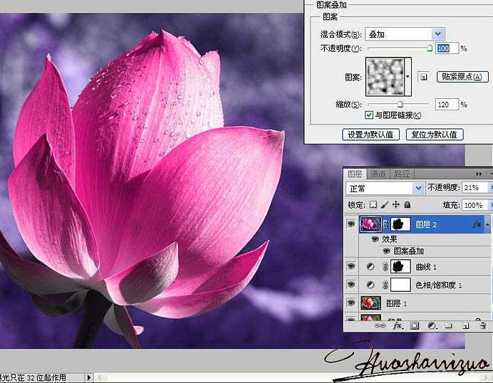 ‘Photoshop将荷花特写图片打造出高清的暗紫色效果‘